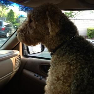 Meet your Posher, Stan